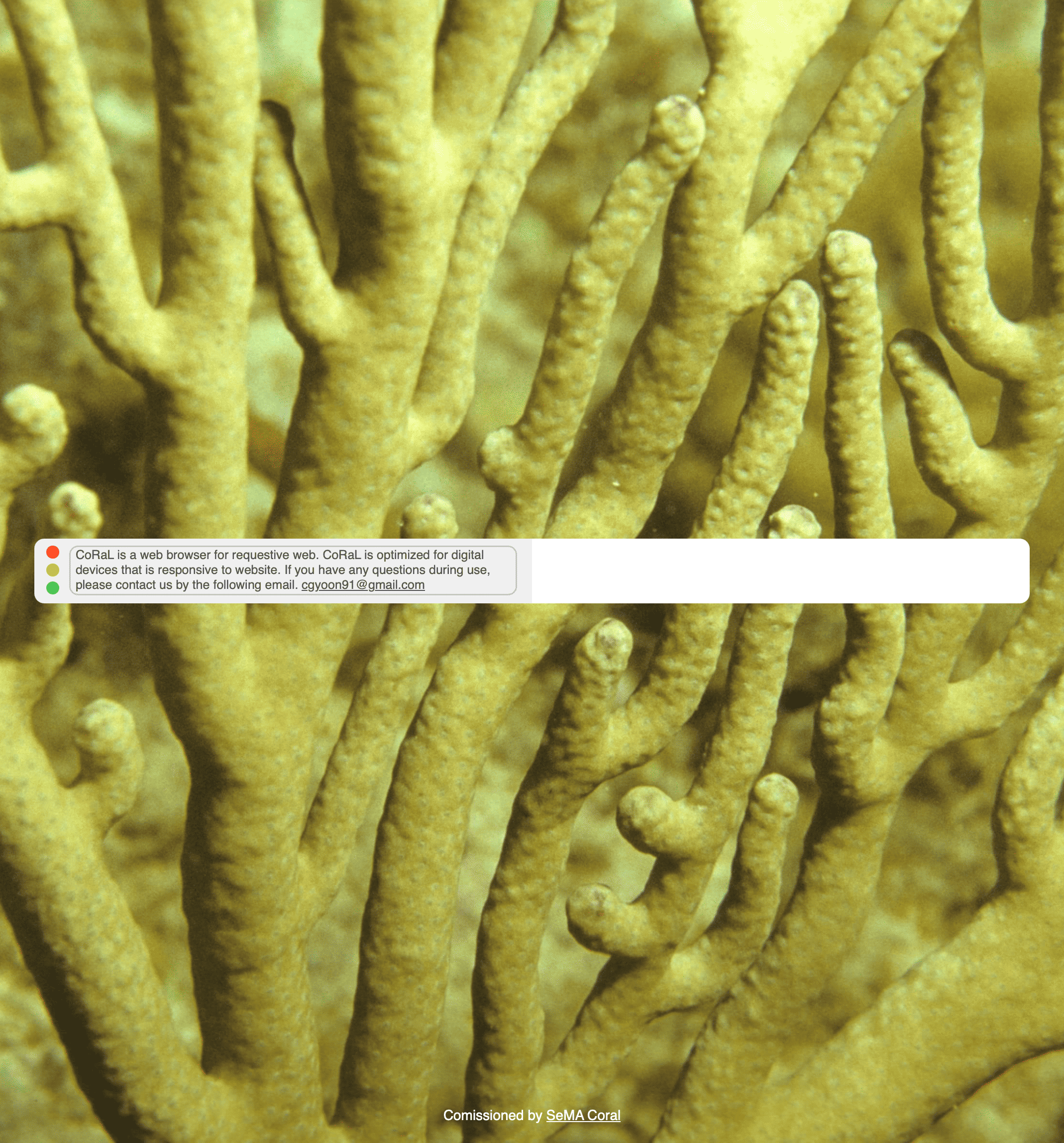 손가락 모양의 노란색 산호초 사진 가운데 가로로 긴 직사각형 브라우저 창 하나가 떠 있는 사진