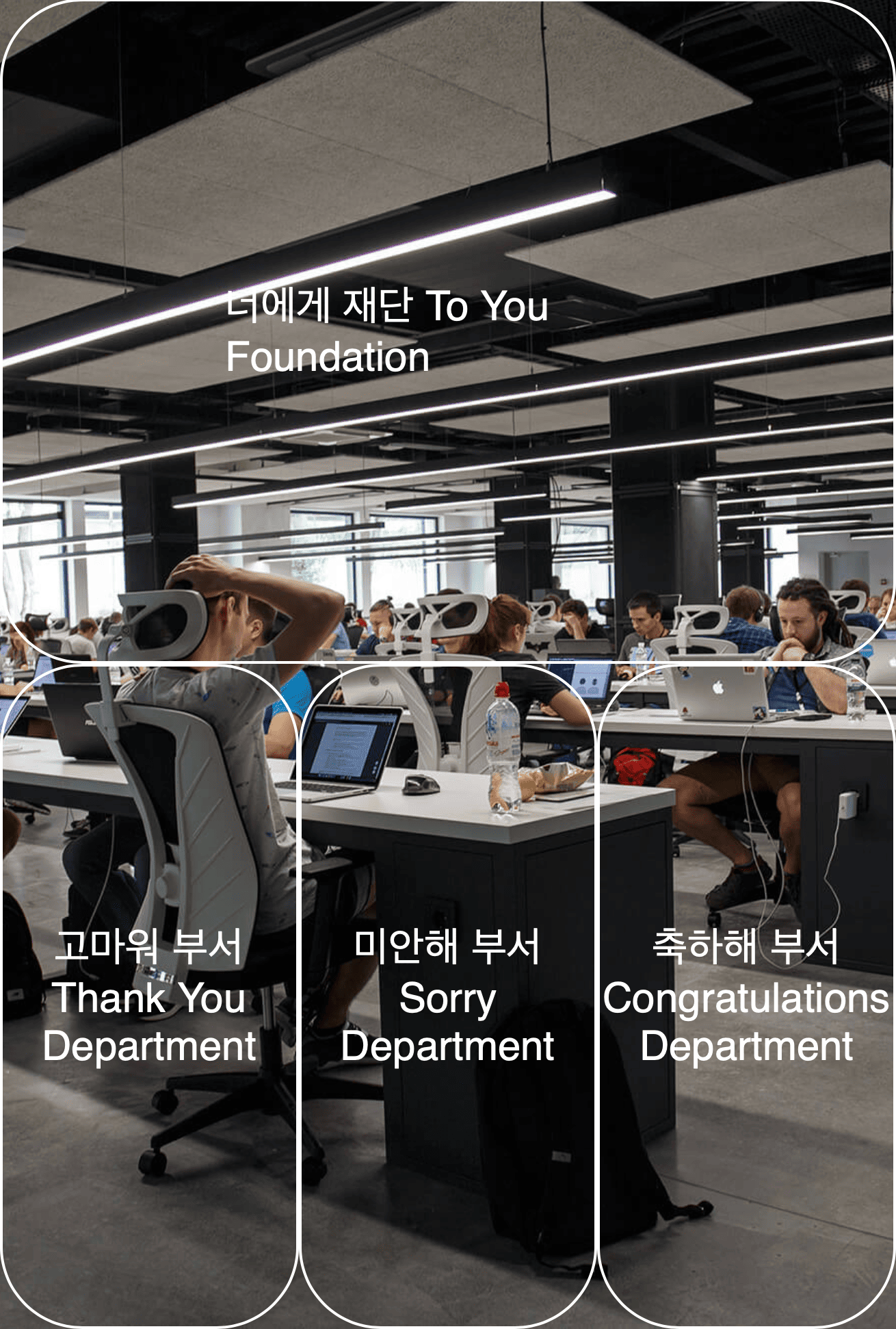 수십 명이 노트북 앞에 앉아 있는 사무실을 배경으로 가느다란 흰 선이 그려진 둥근 직사각형 네 개가 있는 맞닿아 있는 사진